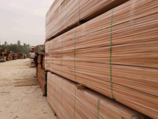 Gỗ bạch đàn nhà yến