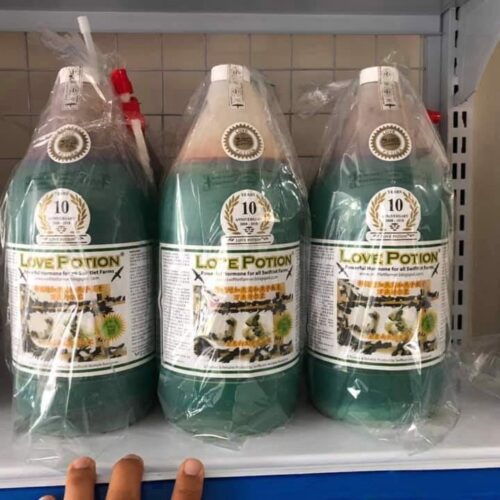 Dung dịch Love Potion