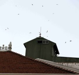 Thiết bị loa ngoài được lắp trên nóc mái nhà yến