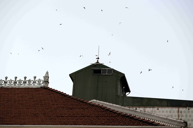 Thiết bị loa ngoài được lắp trên nóc mái nhà yến