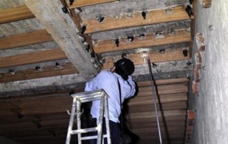 nuôi yến trong nhà