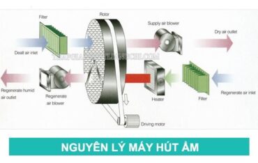 nguyên lý máy hút ẩm