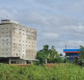 xây dựng nhà yến giá rẻ