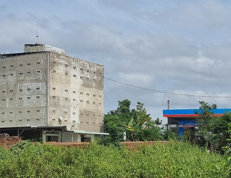 xây dựng nhà yến giá rẻ