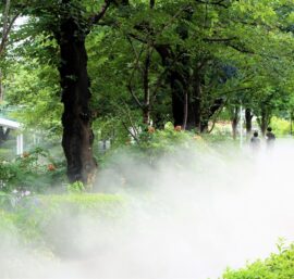 hệ thống phun sương tưới cây