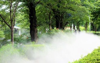 hệ thống phun sương tưới cây