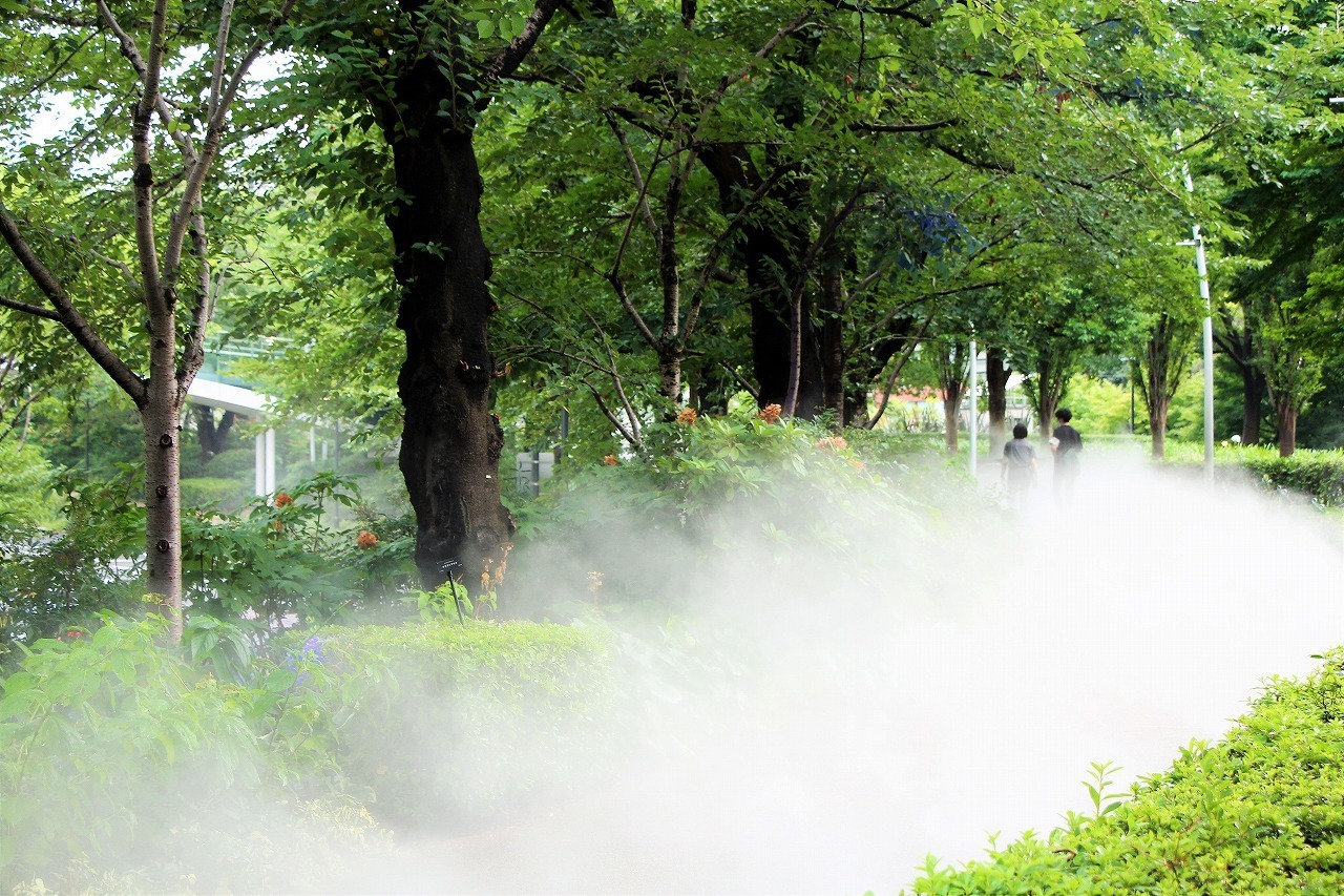 hệ thống phun sương tưới cây