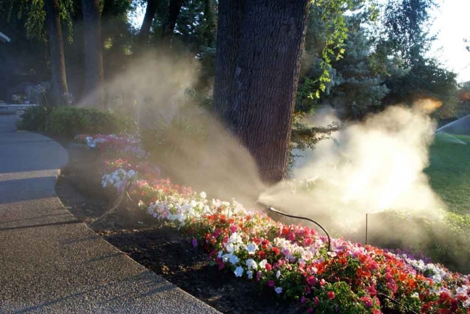 máy phun sương tạo ẩm giá rẻ