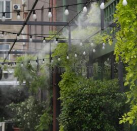 hệ thống phun sương tưới lan