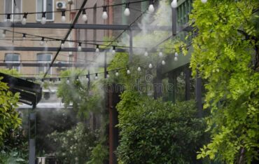 hệ thống phun sương tưới lan