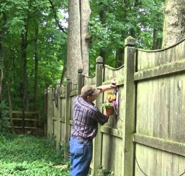 hệ thống tưới phun sương