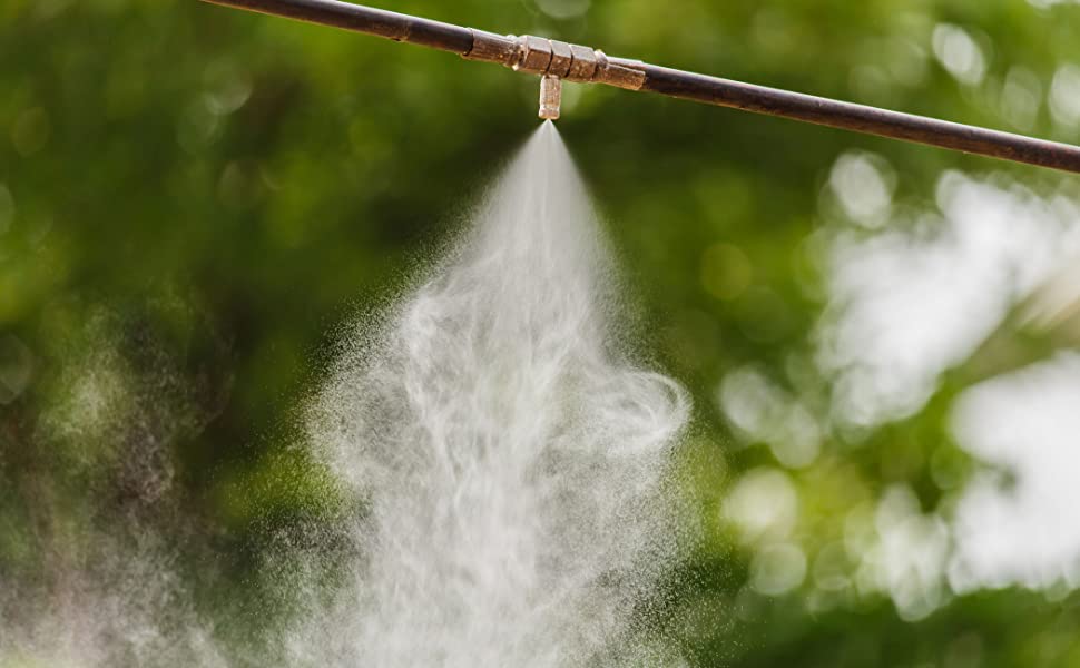 lắp hệ thống phun sương làm mát