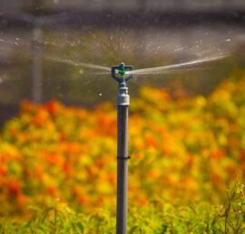 Máy bơm tăng áp Giải pháp tưới lan hiệu quả