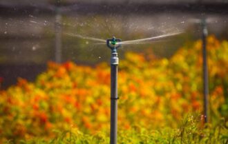 Máy bơm tăng áp Giải pháp tưới lan hiệu quả