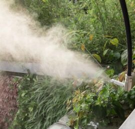 máy bơm tưới lan mini