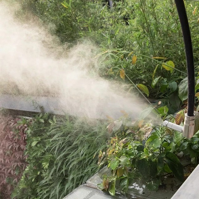 máy bơm tưới lan mini