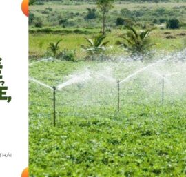 bộ phun nước làm mát