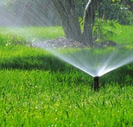 hệ thống tưới phun sương cho vườn rau