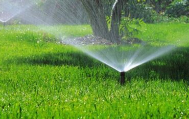 hệ thống tưới phun sương cho vườn rau