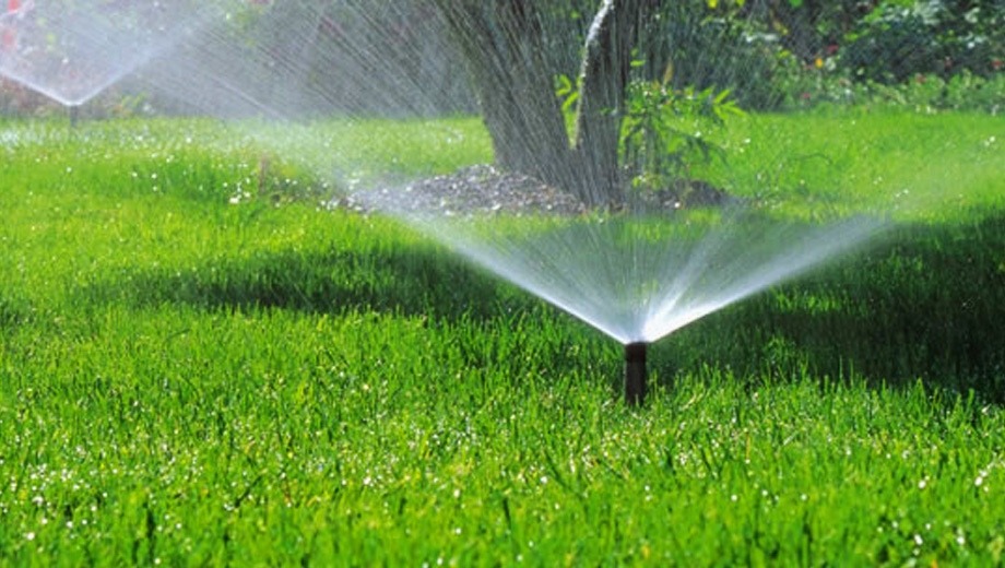 hệ thống tưới phun sương cho vườn rau