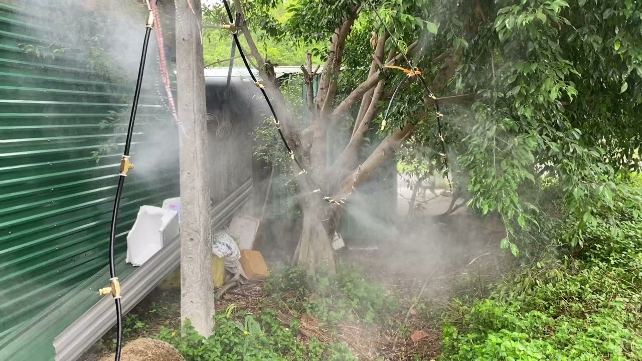 Máy bơm hệ thống phun sương Giải pháp tuyệt vời cho việc tưới cây và làm mát