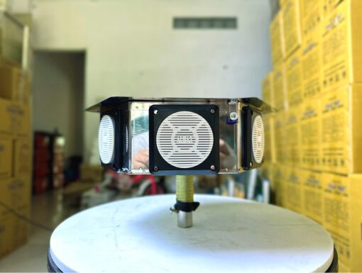 Loa phóng lục giác nhà yến