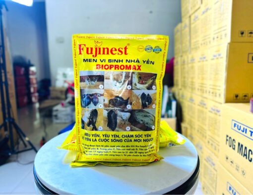 Men vi sinh nhà yến